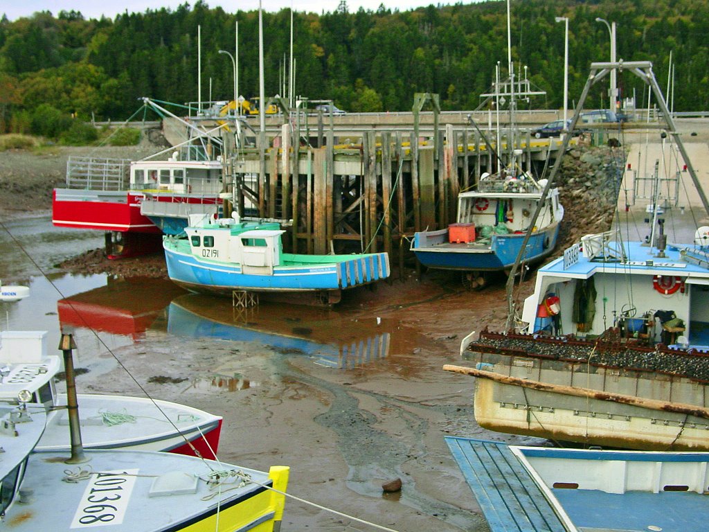 Alma (Bay of Fundy), New Brunswick - Boats at low tide by AaronJankowski