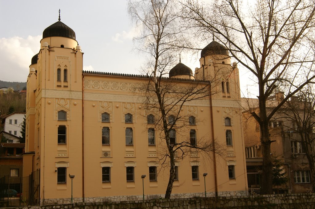 Ashkenazy Synagogue III. by Zbyněk Peška