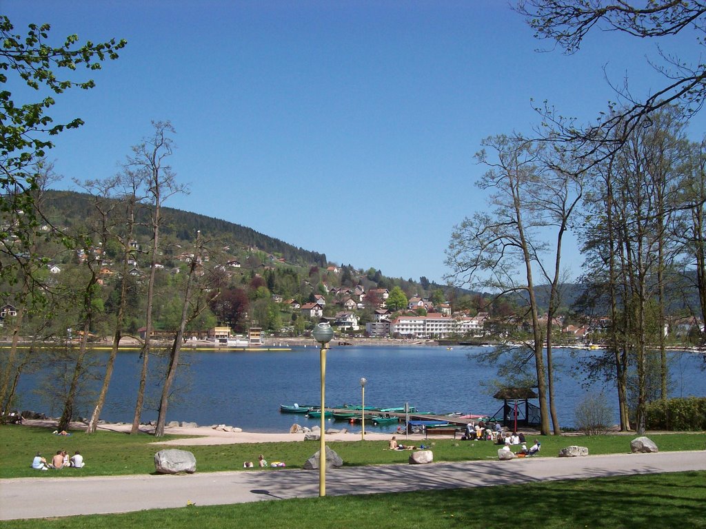 Vue sur le lac de Gérardmer by Leila Merrad