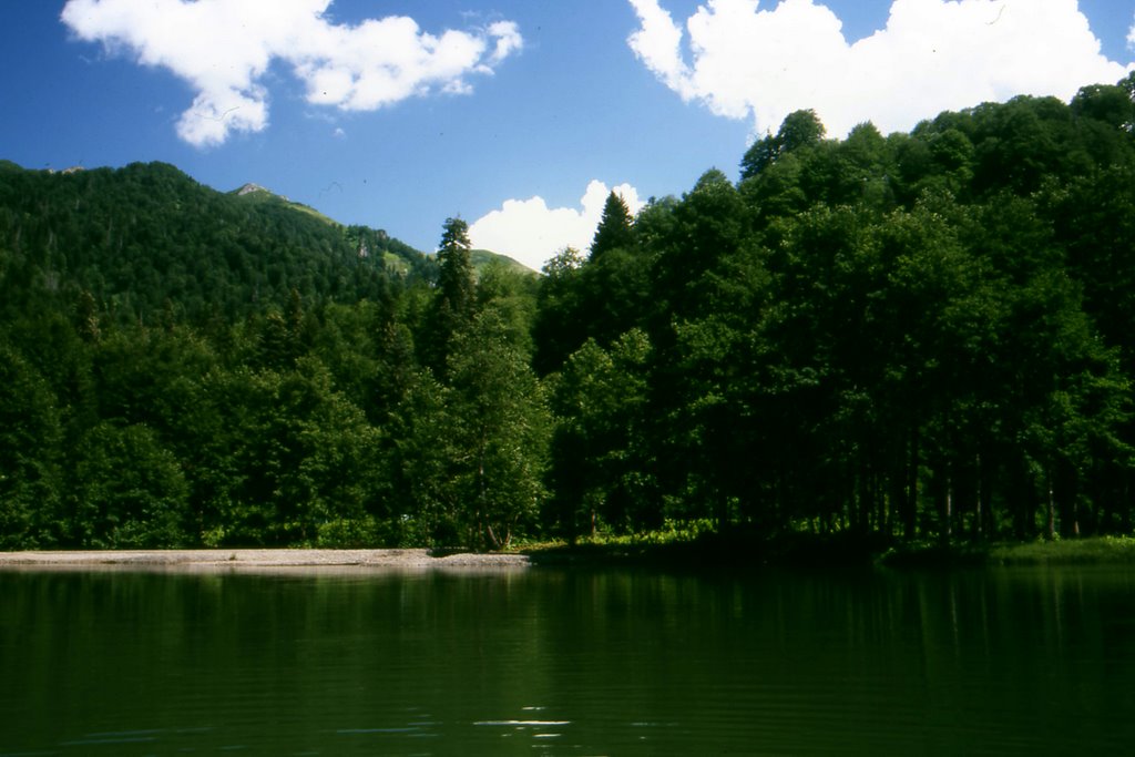 08490 Kaynarca/Borçka/Artvin, Turkey by Menderes Karakucuk