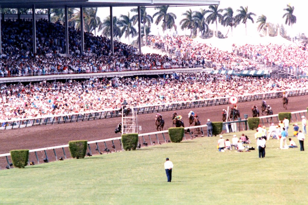 BREEDERS CUP SPRINT 1989 by wally mc