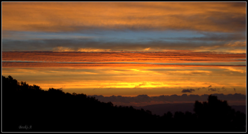 Amanecer Selvático by Boskiamanita