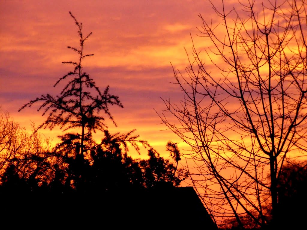 Morgenrot in Köln by ©Elisabeth van Langen