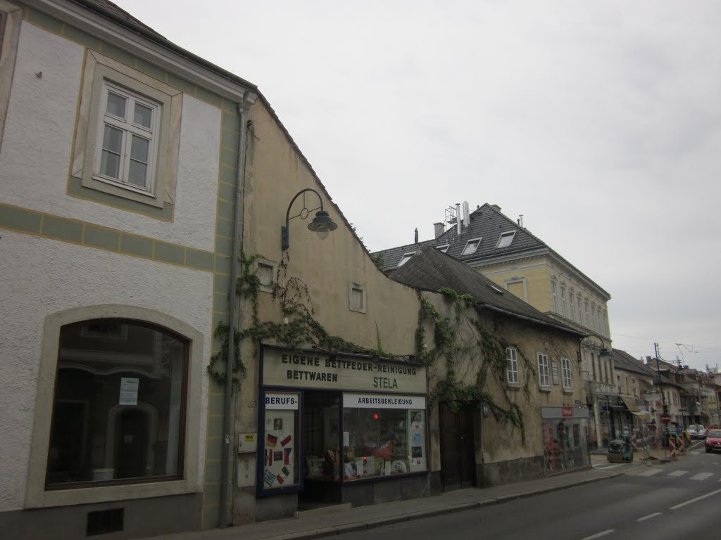 Mödling by MalteLauridsBrigge