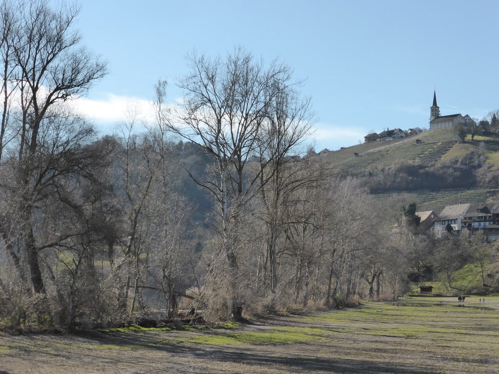 Am Rheinufer bei Rüdlingen mit Kirche von Buchberg by bienenritter