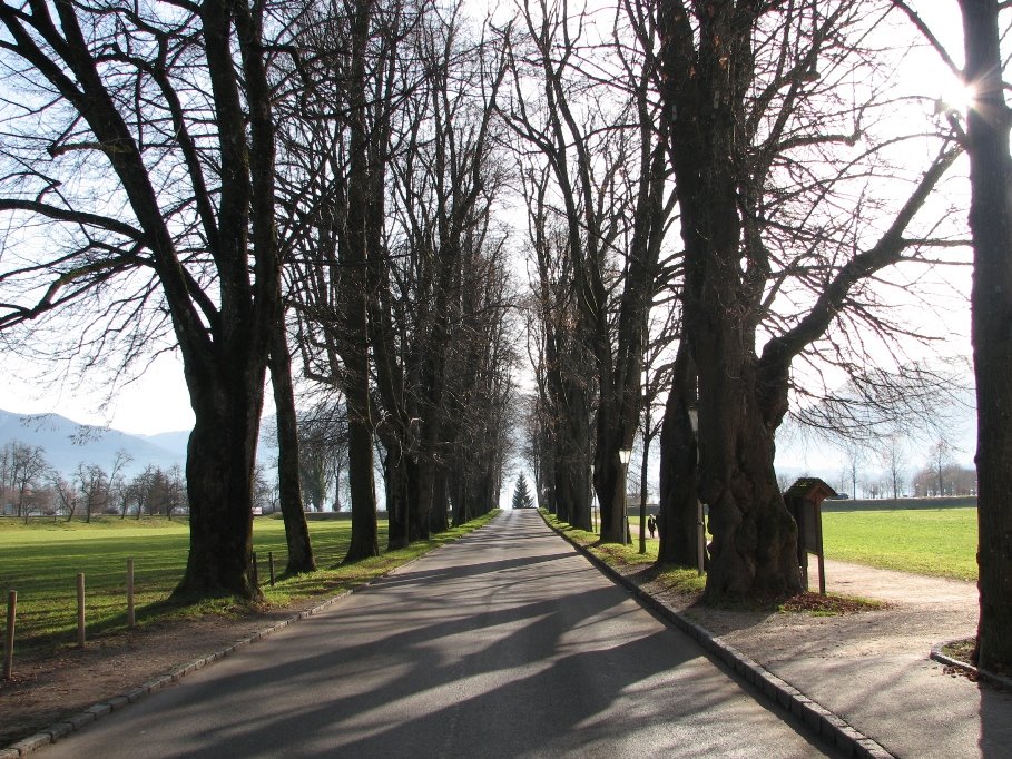 Mondsee Entrance by Shahabfar