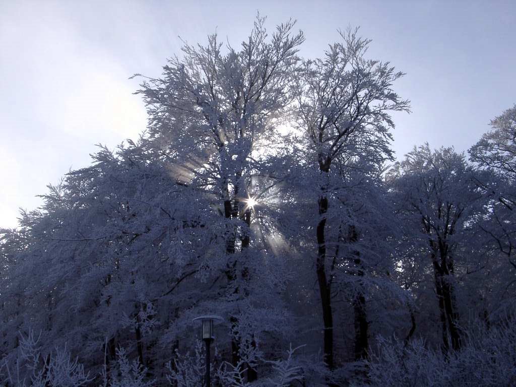 Winter am Hexentanzplatz Thale by Milchreis01