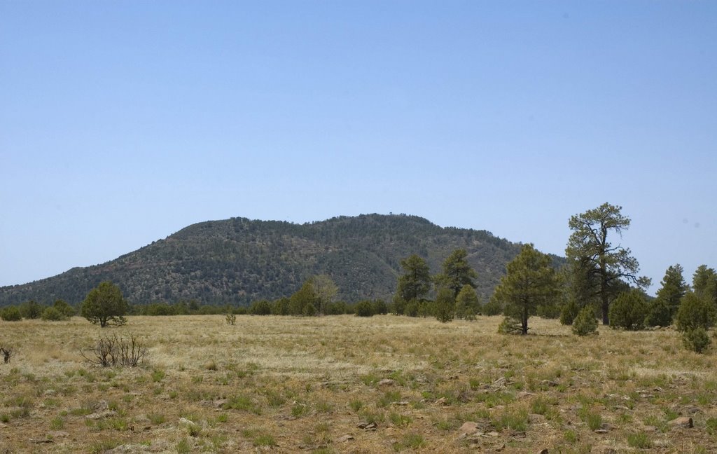 Apache Maid Mountain by J Williams