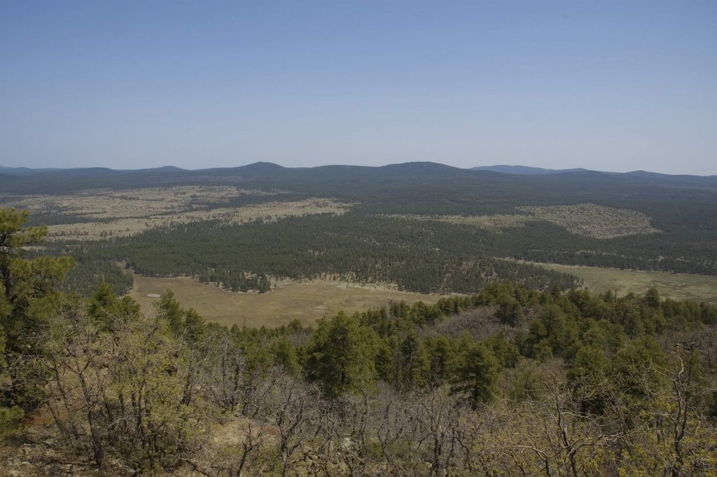 Looking North from Apache Maid Lookout by J Williams