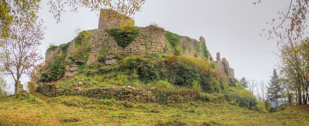 Château de Frankenbourg (Frankenbourg castle) by caitrin