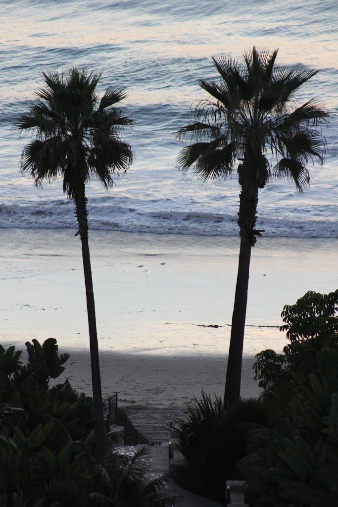 Two Palms on Strands Beach in Dana Point, CA by - Jean Marshall