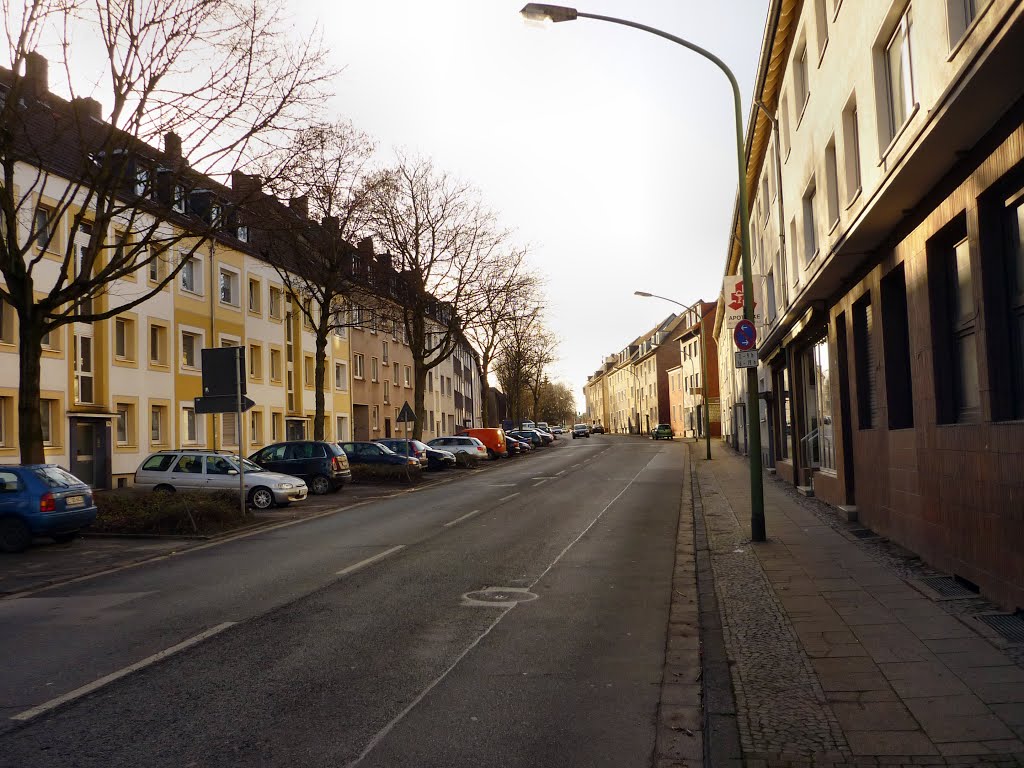 Bocholder Str. (Essen-Bochold) / 2.02.2014 by Iceman93 / NO VIEWS!!!