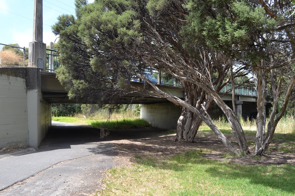 Pedestrian underpass below Waitpinga Road by Phaedrus Fleurieu