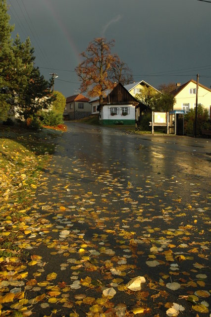 VELENOV, NÁVES. MORAVA. by Jiri Bartosek