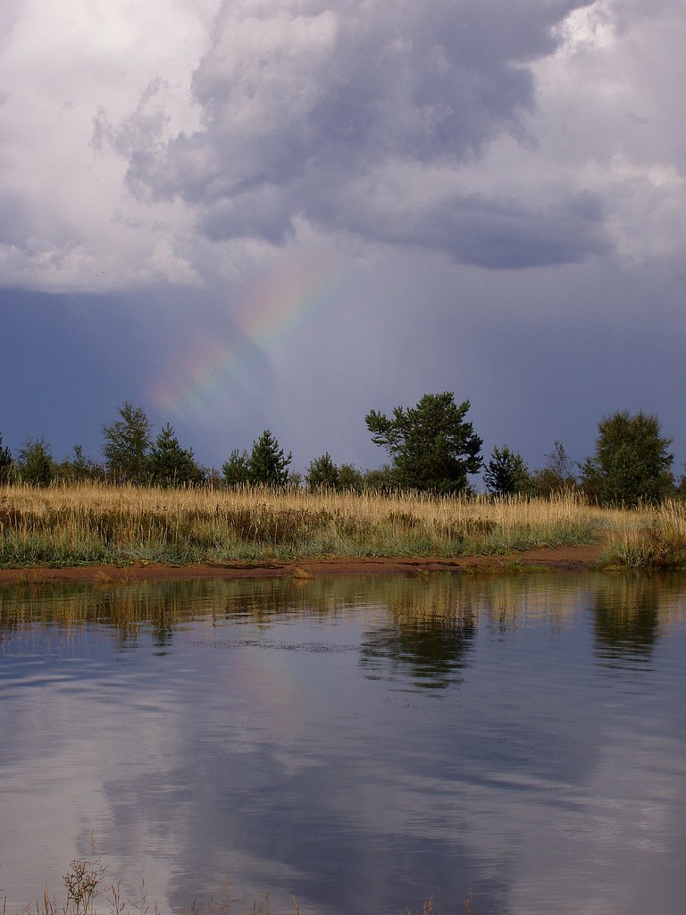 Rainbow by Aarresaari