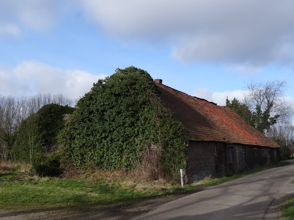 Tweeledige hoeve in verval Bocholt by Poussemousse