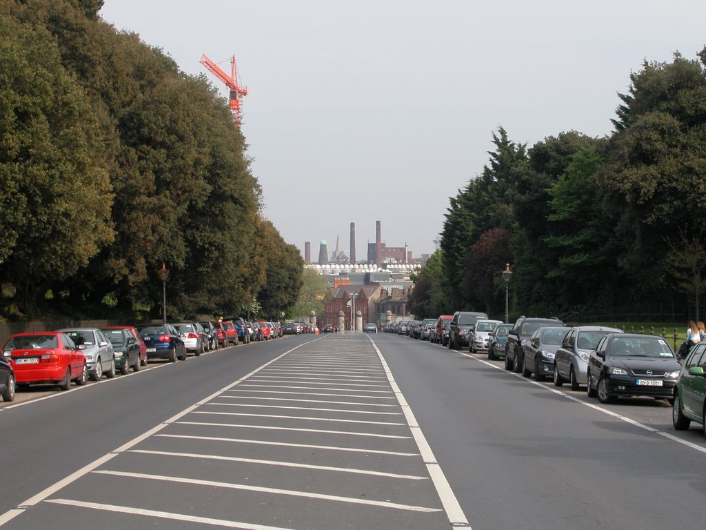 Dublin, Guinness Factory seen from Phoenix Park by Benoit Brémilts