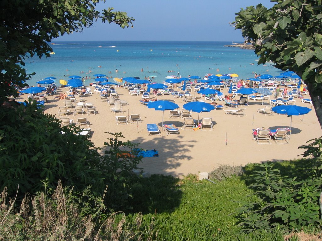 FIG TREE BAY by LIV  MONDO