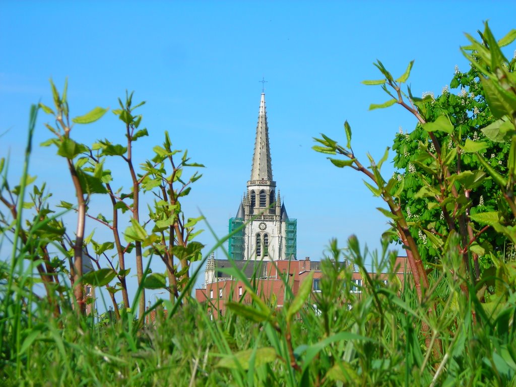 Sint Medarduskerk in de stelten by goedroen