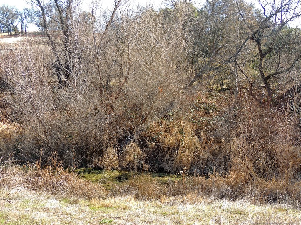 Miners Ravine, Roseville, CA by Steve Schmorleitz, NationalParkLover.com