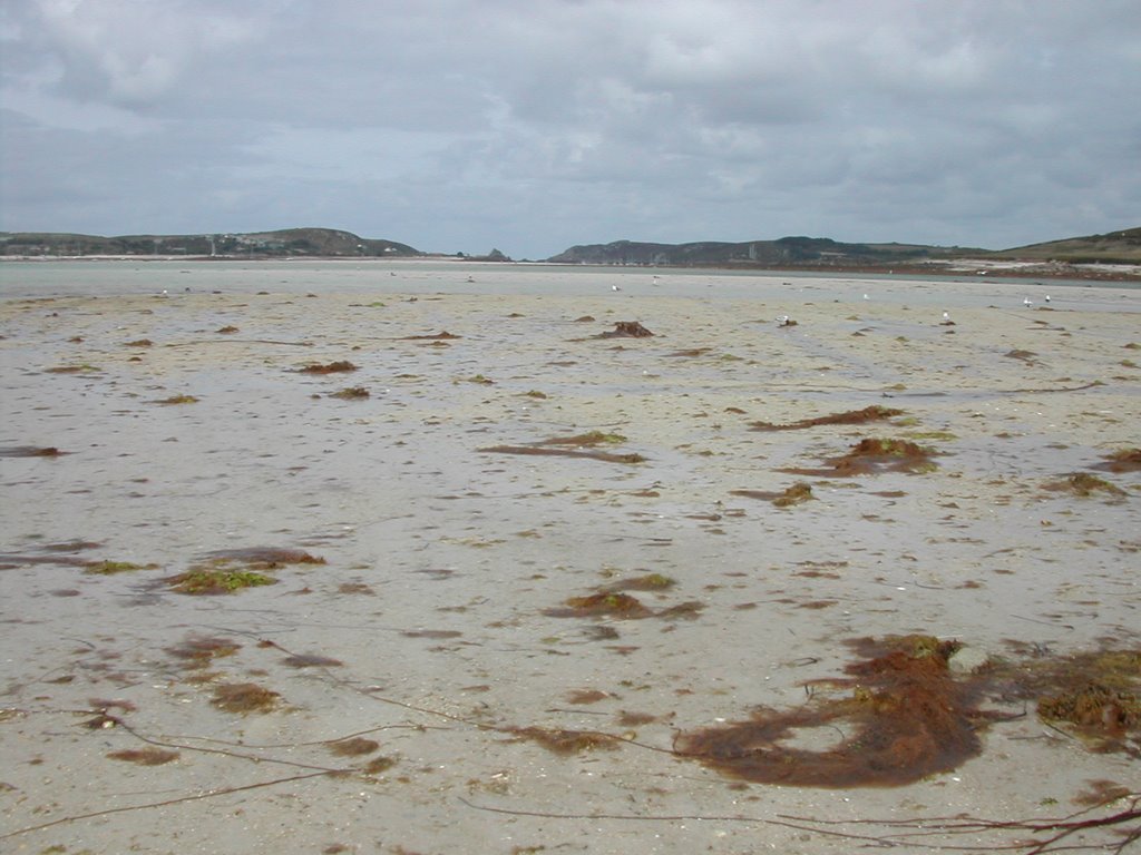 Tresco Channel at very low tide by Linda Hunt