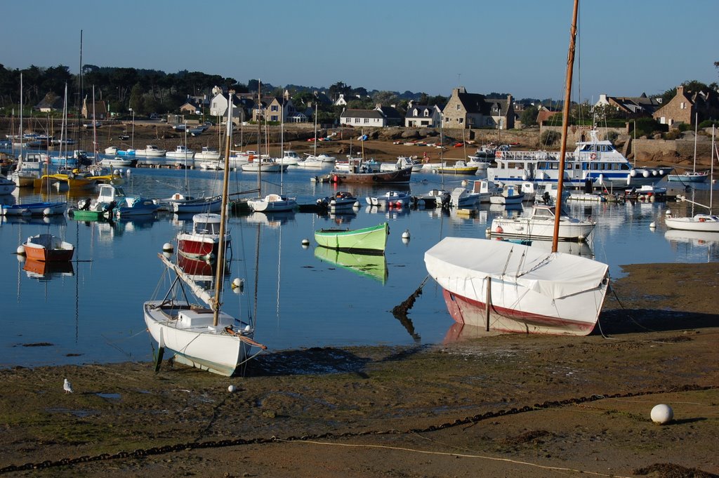 Port du Ploumanach by claudis bilder