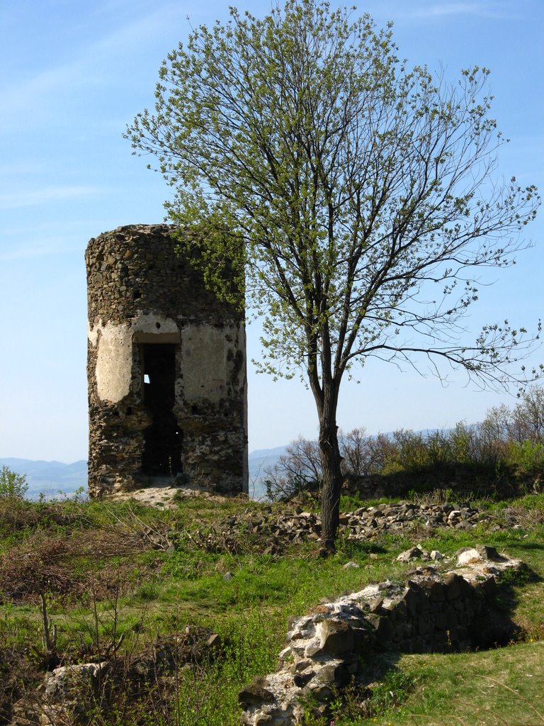 Šarišský hrad: severozápadná strážna veža (Šariš castle: north-western watchtower) by vy3m