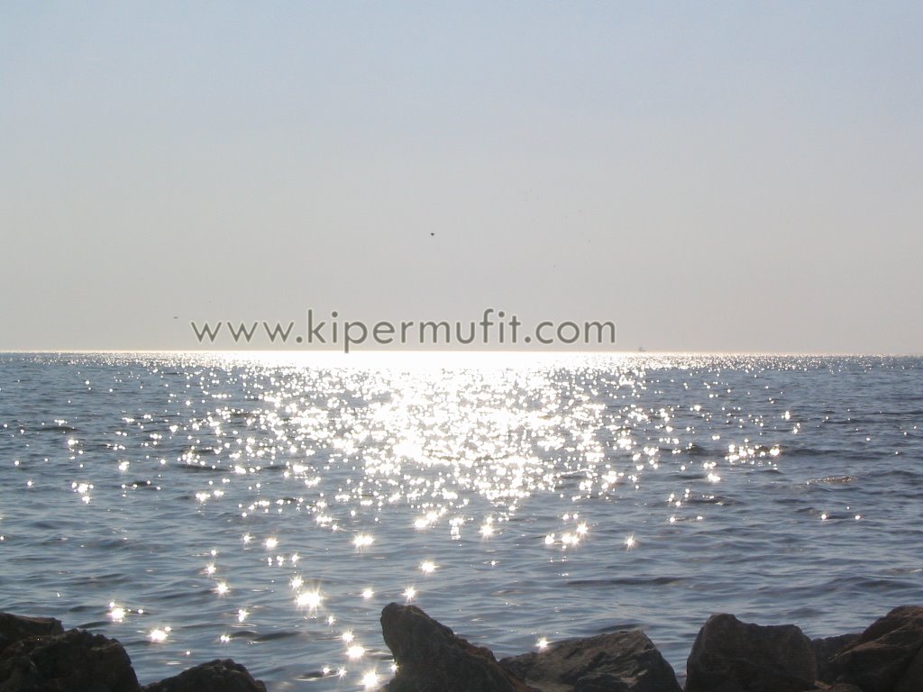 Gemlik / Bursa ( www.kipermufit.com)3 by müfit kiper