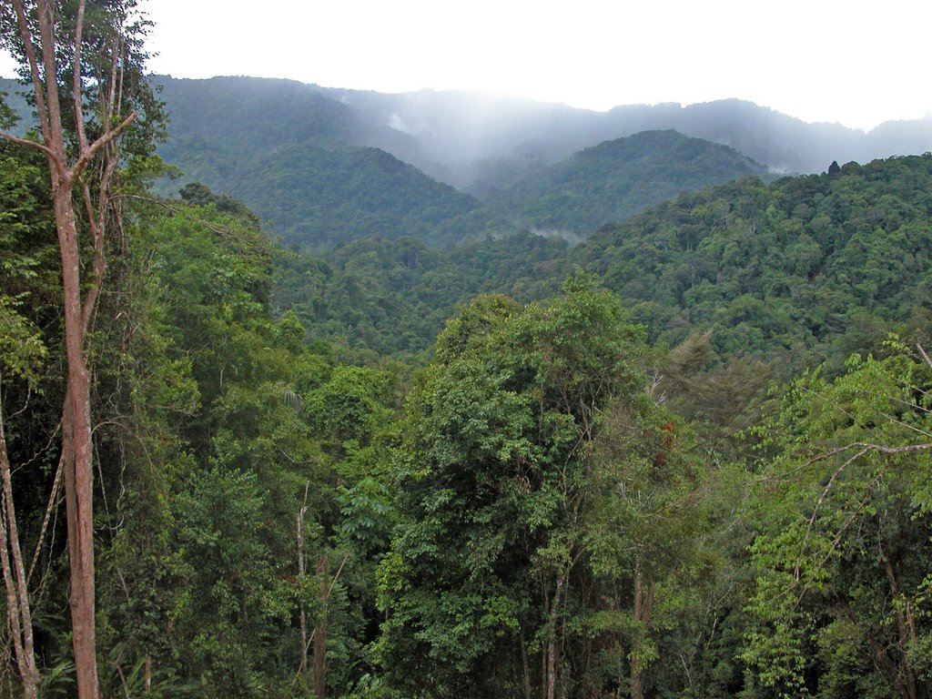 Morne La Croix, Arima-Blanchisseusse Road by Edward Rooks