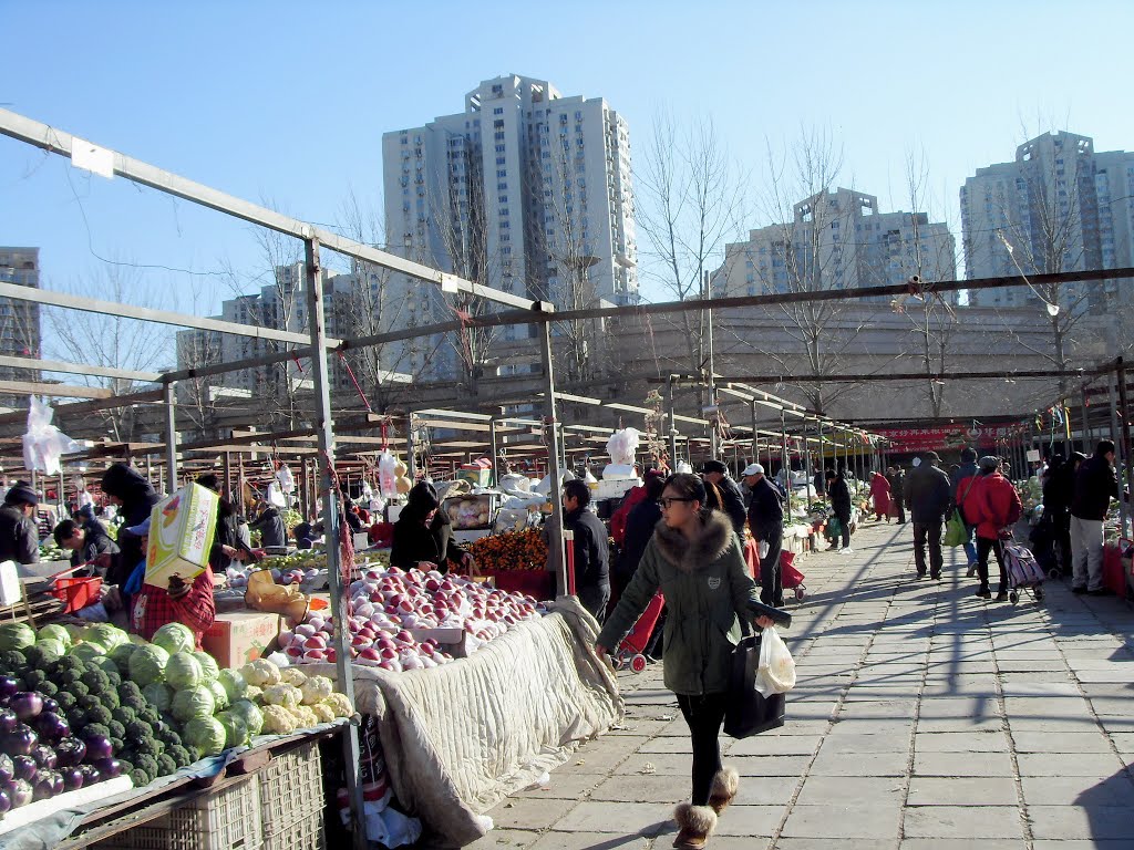 Wangjing Markets Winter 2012 by henry_the_dentist