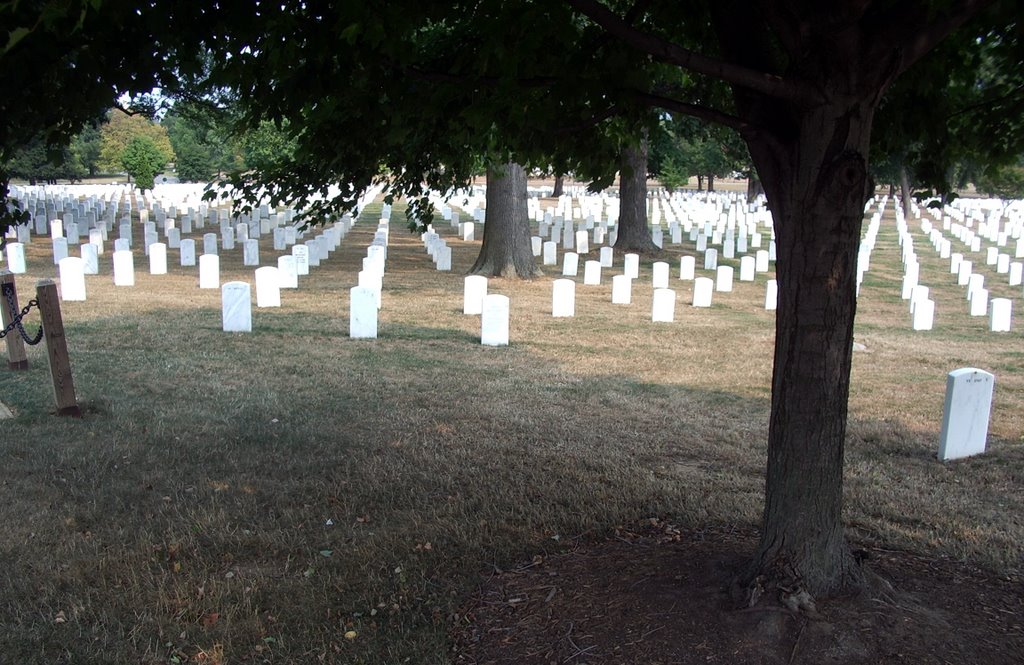 Arlington Cemetary by bar_pano