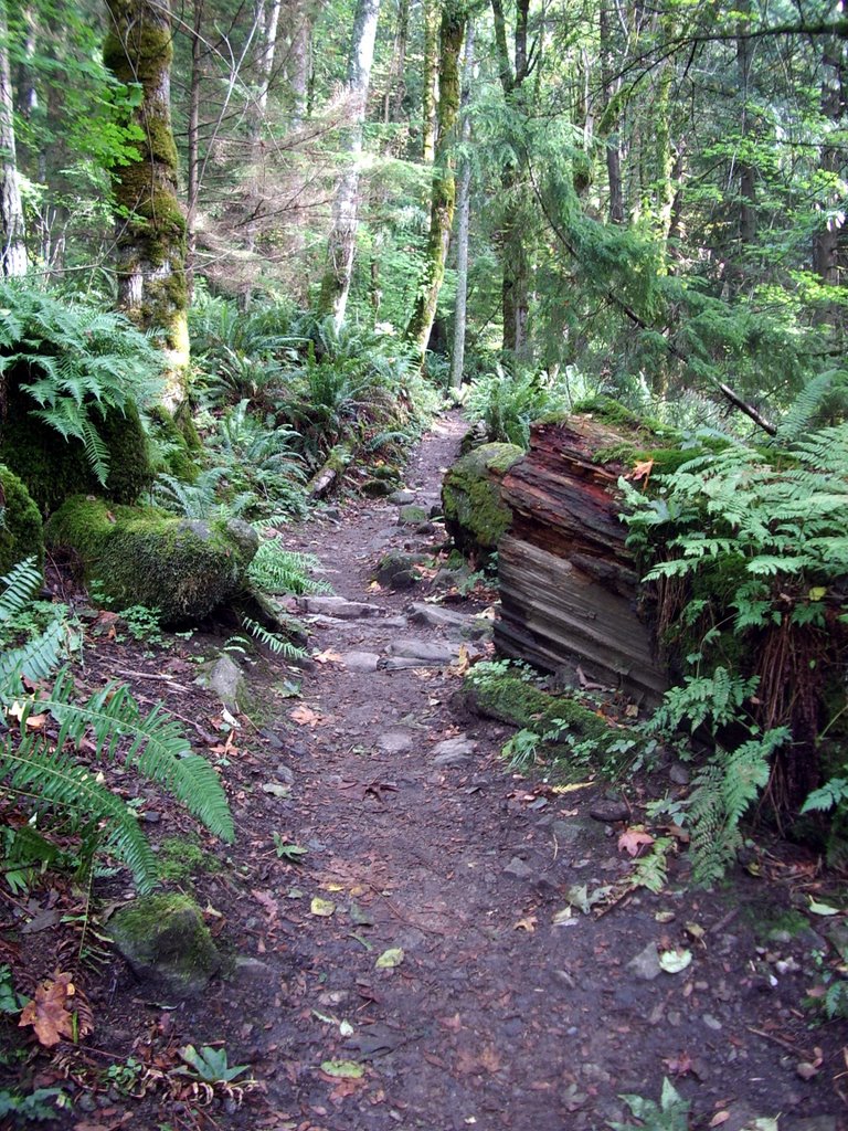 Poo Poo Point by bar_pano