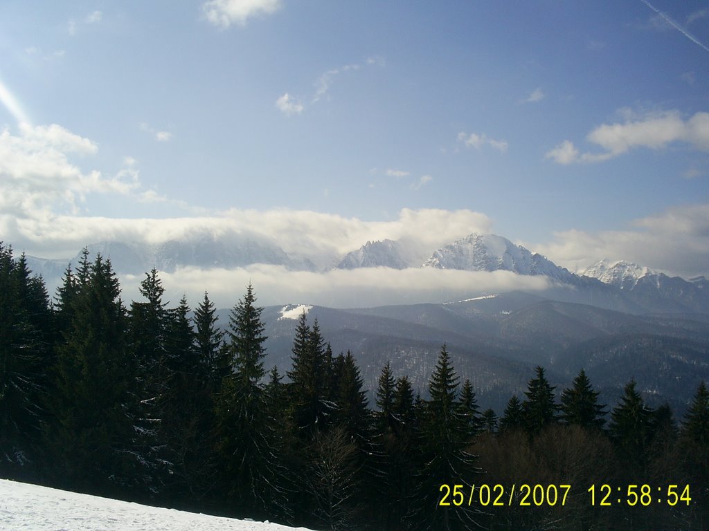 A view to Bucegi from Clabucet by Catalin Munteanu