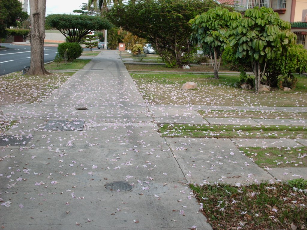 Urbanización Los Libertadores, Barquisimeto 3001, Lara, Venezuela by Antonio Tielve