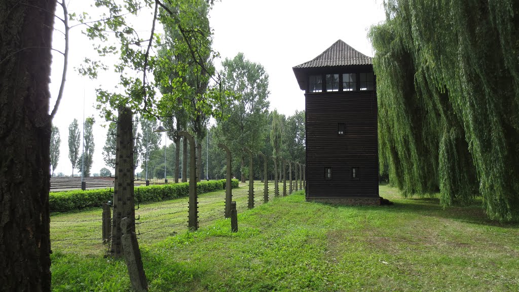 KZ Auschwitz II - Birkenau by Michel Piekstra