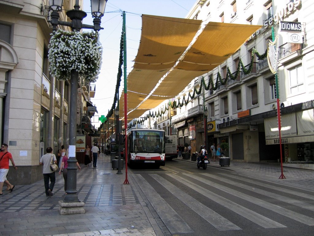 Spain - Granada - Calle Reyes Catolicos street view - the canopy is essential during the summer by Gerald Stafford