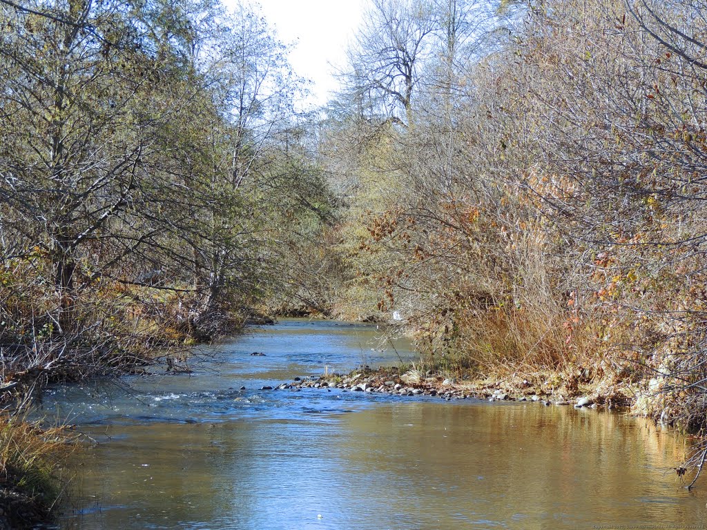 Dry Creek by Steve Schmorleitz, NationalParkLover.com