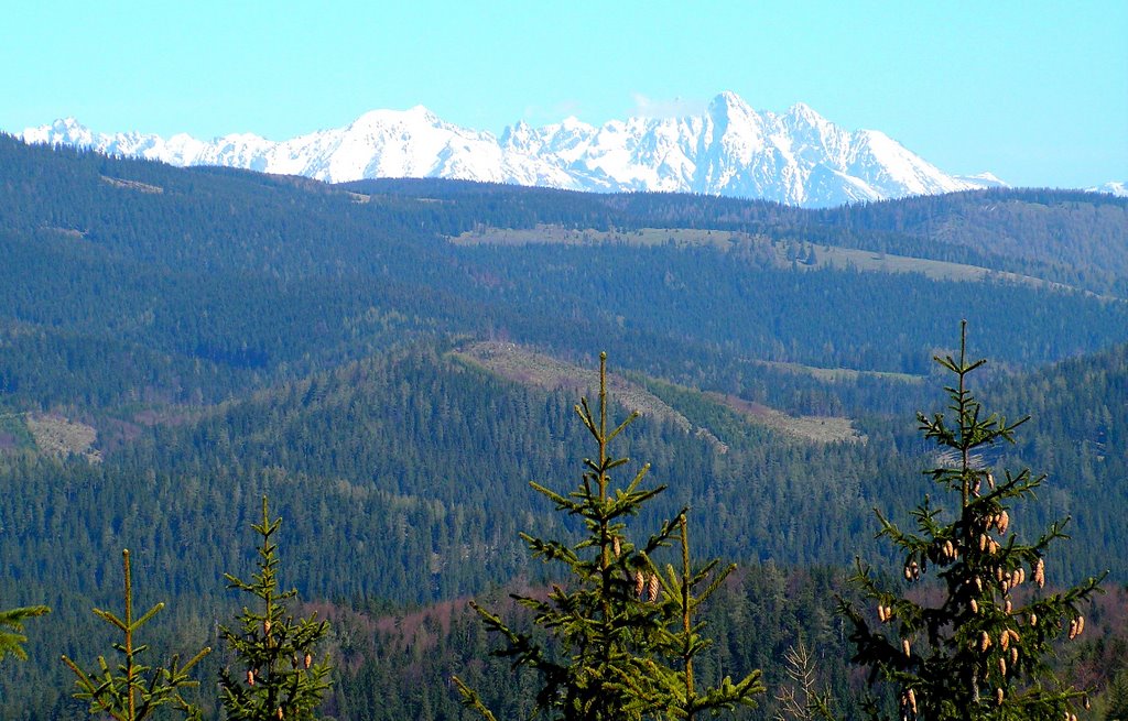 Vysoké Tatry z úbočia Čuntavy by Rudolf Pellionis