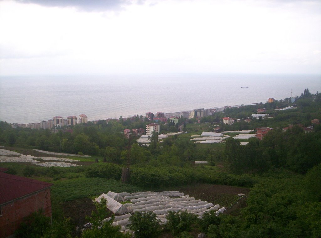 Trabzon Şükrü YAVUZ'un Evi by rabzon