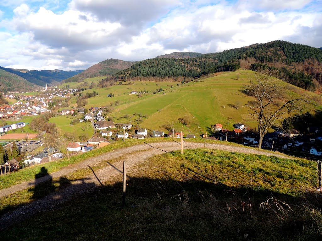 2014.02-Münstertal-Schwarzwald. by dawx