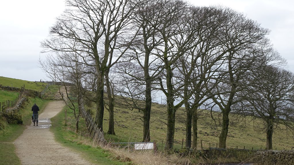 Footpath between Forest Road and Buxton Old Road by Dennis Neill