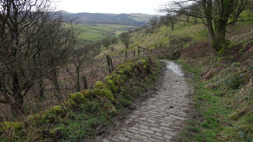 Footpath between Forest Road and Buxton Old Road by Dennis Neill