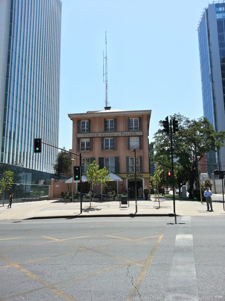 Viñedos Torreón de Paredes, Las Condes by Martín Guzmán Henríquez