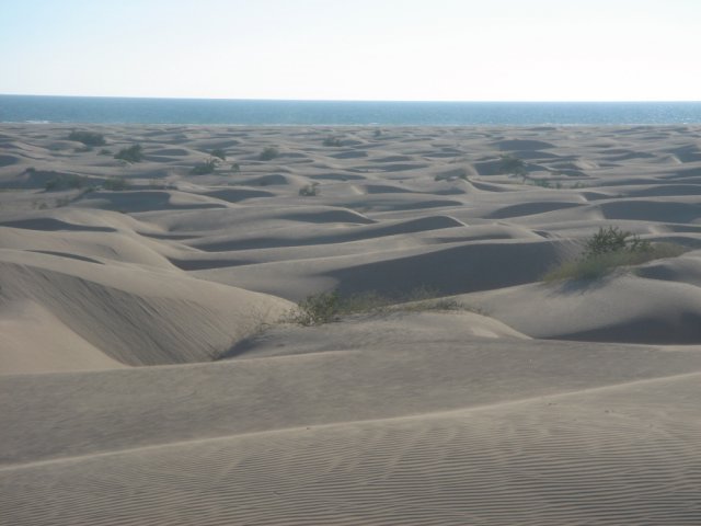 Sand dune formations by sierram