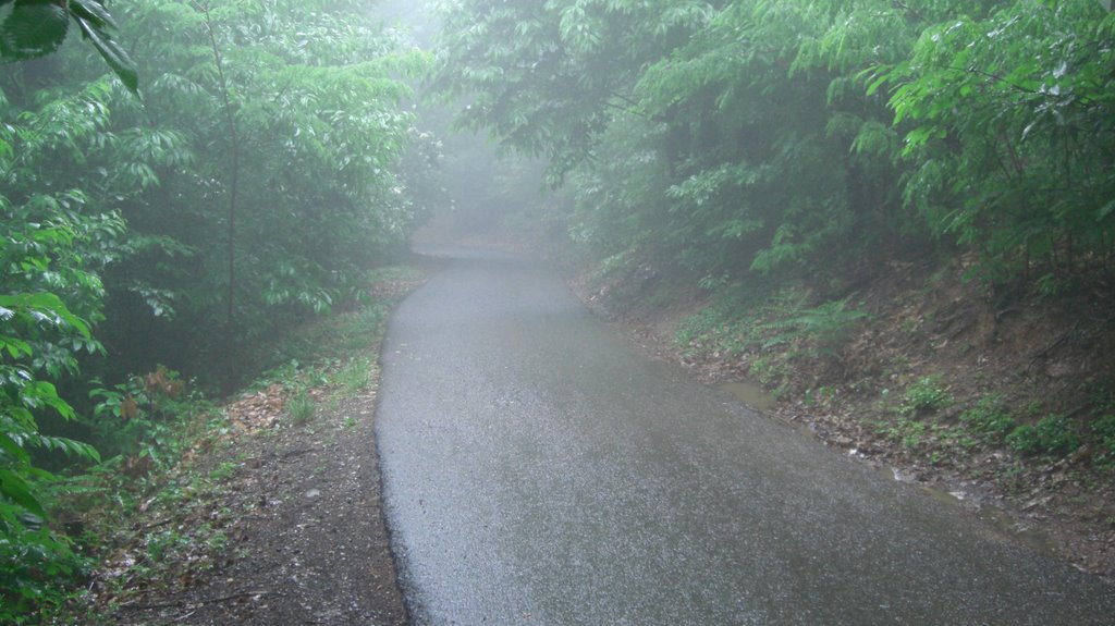 Cologne, La strada del monte orfano ( dopo la cima in discesa verso il rifugio dei alpini ) durante un temporale a maggio 452 m slm by LIRIOMETEO