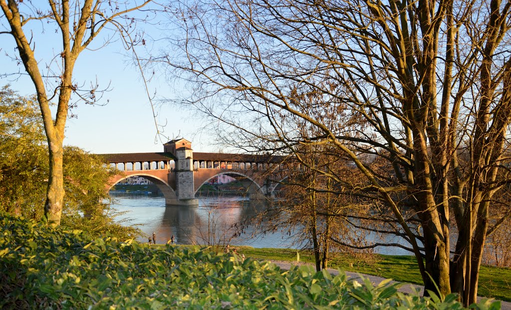 Pavia , a passeggio lungo il Ticino by Piero Crosia