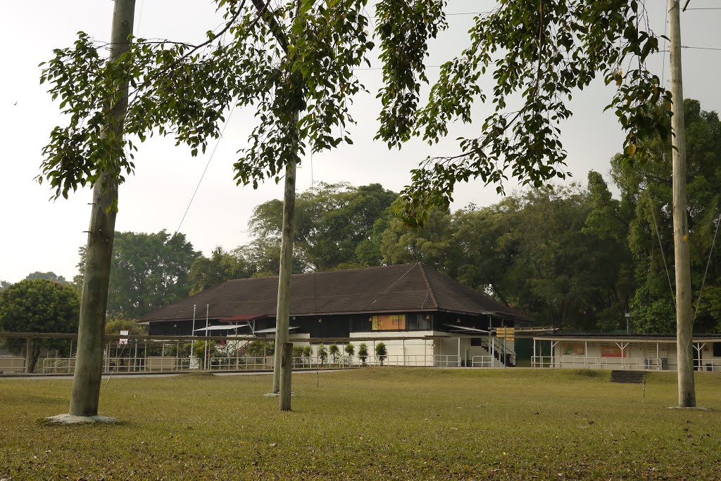 Run-down Children's Camp near Admiralty Rd East by Sven Mueller