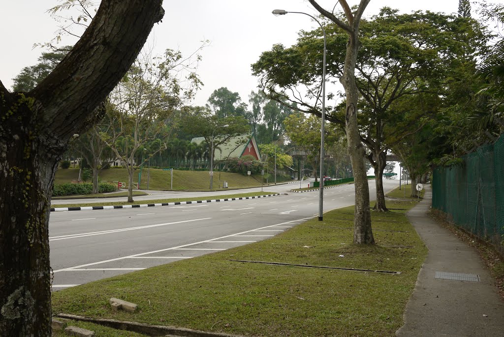 Run-down Children's Camp near Admiralty Rd East by Sven Mueller