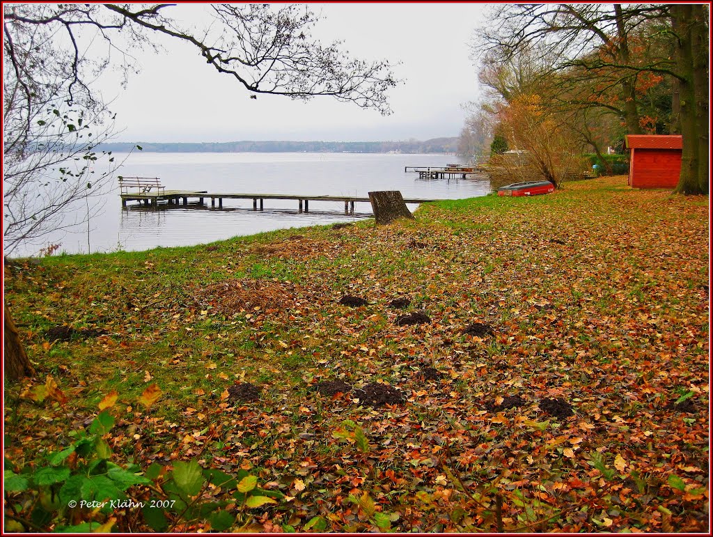 Arendsee (Altmark), Am Südufer by Peter Klähn