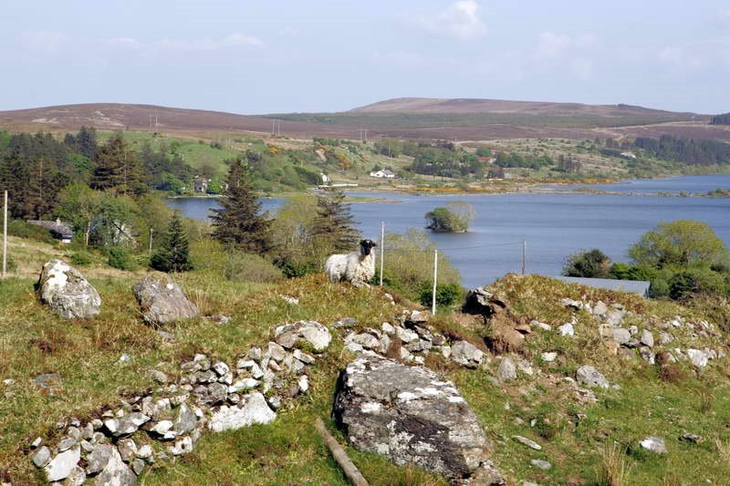 Over Lough Talt by Noel Kennedy / NK Photography